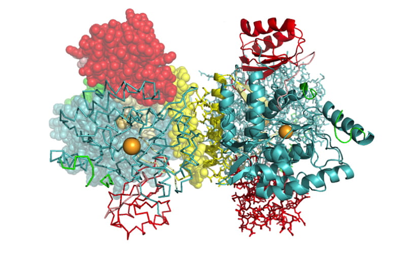 PAH structure 
