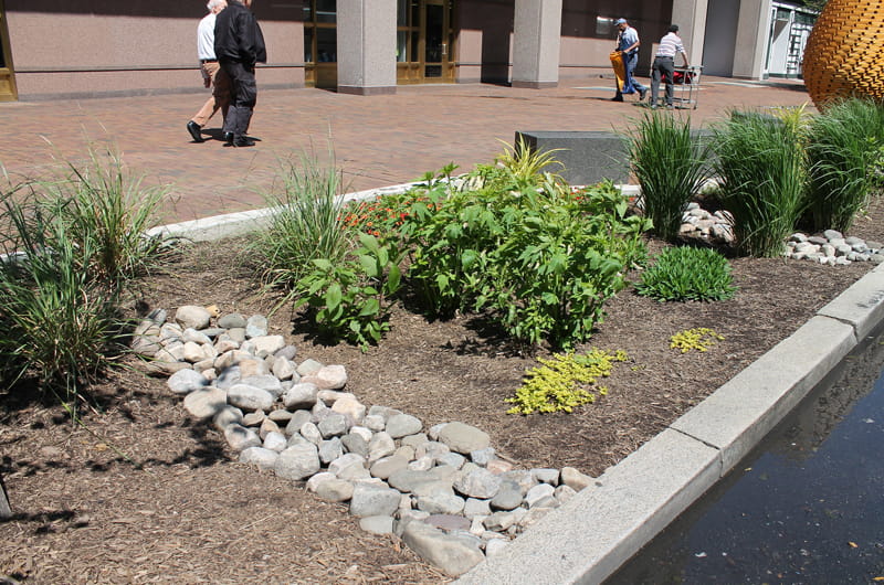 storm water mitigation