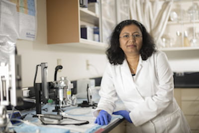 Sandhya Kortagere