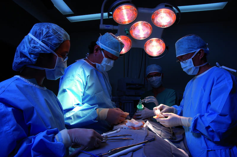 kidney transplant