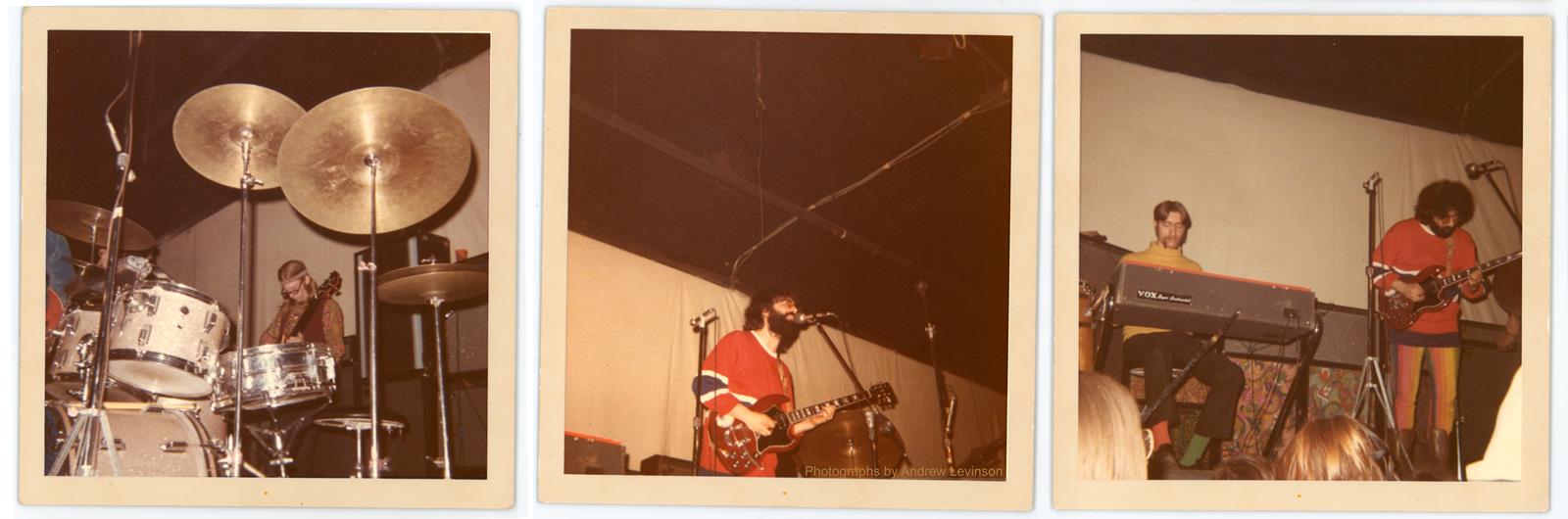 The Grateful dead 