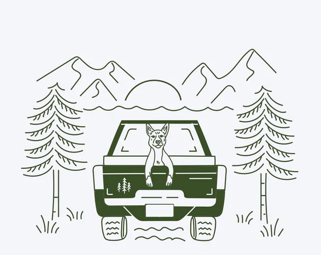 Drawn cartoon of a dog in a truck surrounded by trees and mountans.