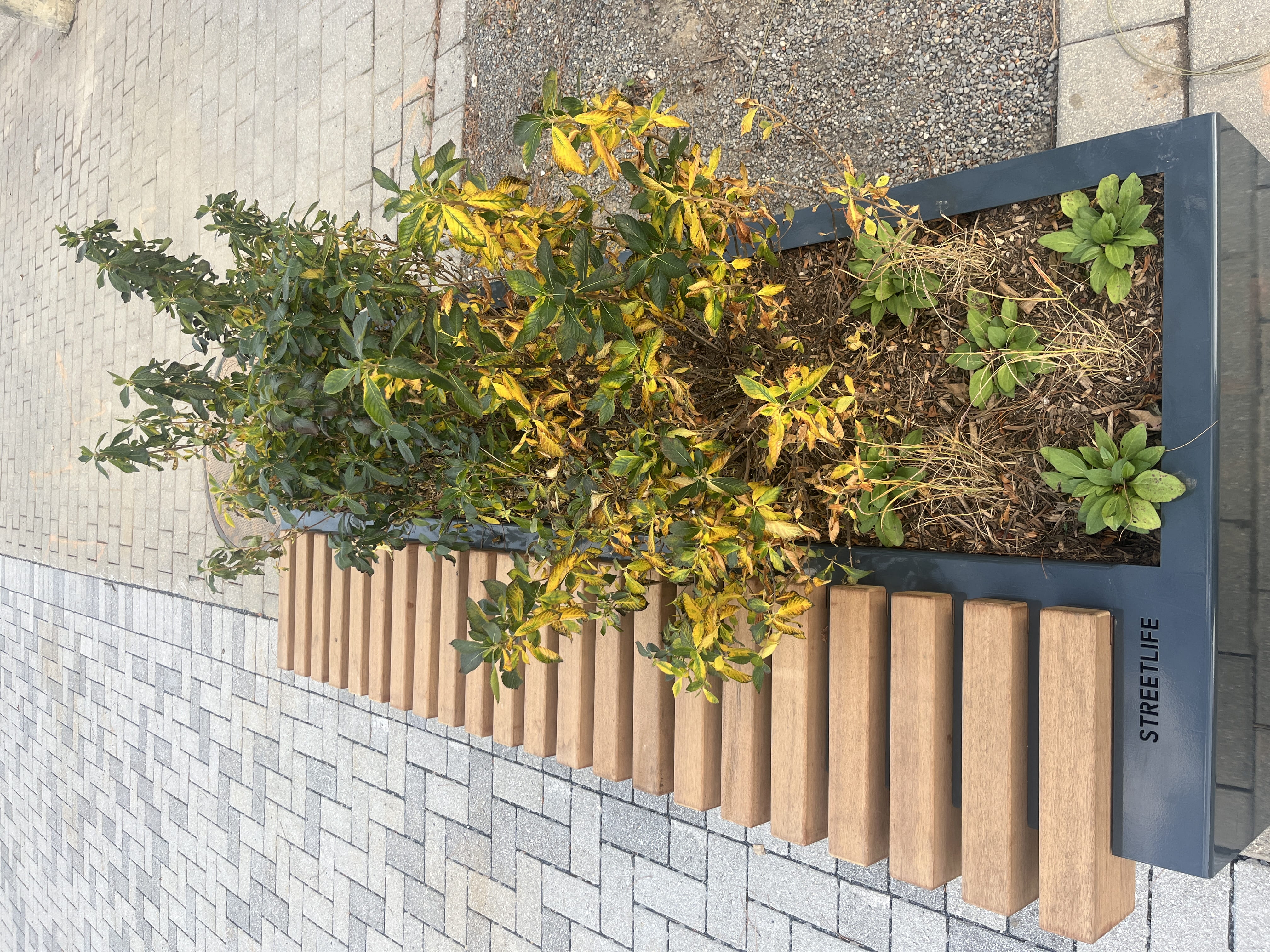 Some of the long benches feature incorporated planter sections, which is a hallmark of the Streetlife company.