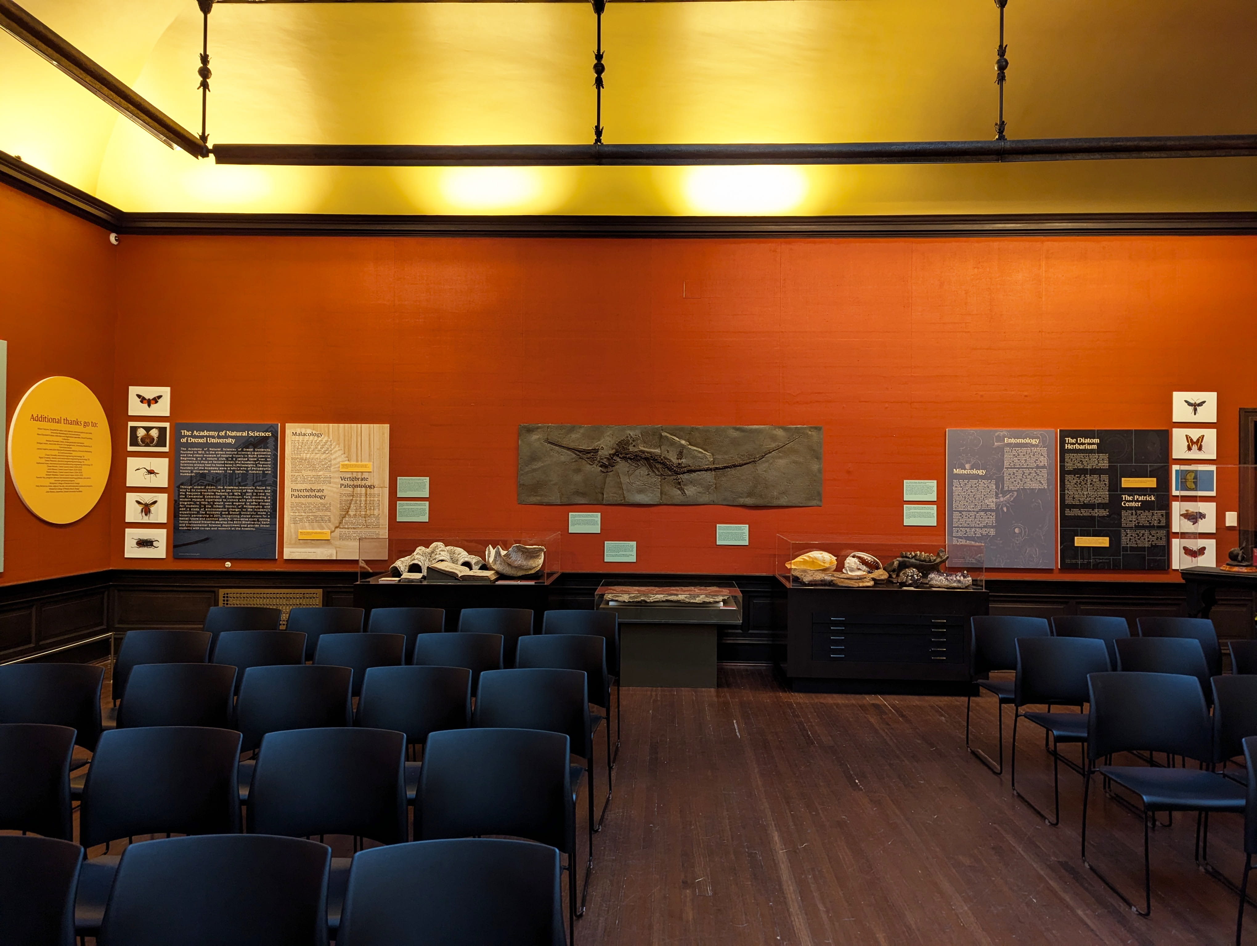 The “science” wall showing artifacts from the Academy of Natural Sciences that are hanging on the wall and organized in pull-out cabinets.