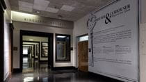 The hallway entrance to 'Curiouser and Curiouser'