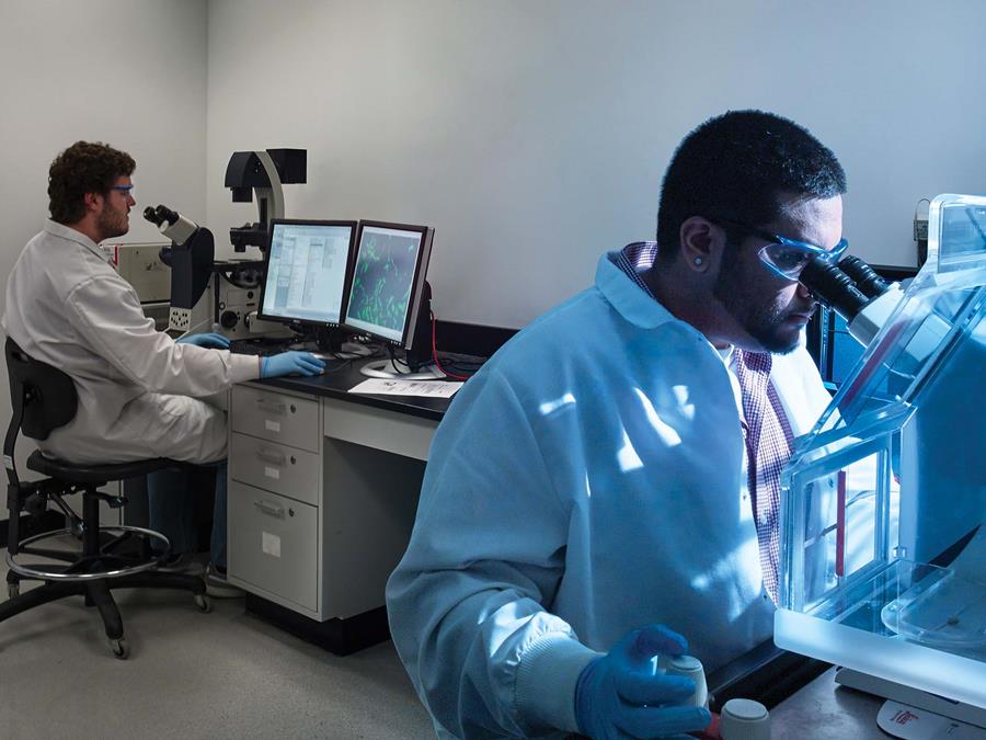 Lab workers