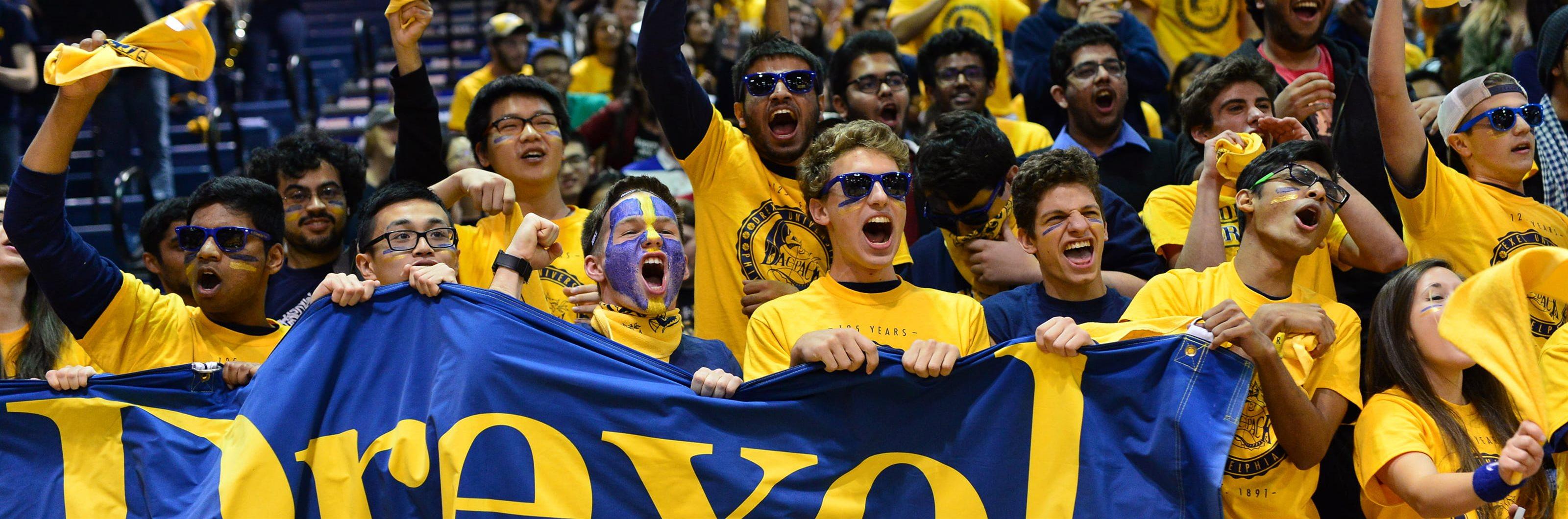 sports crowd cheering