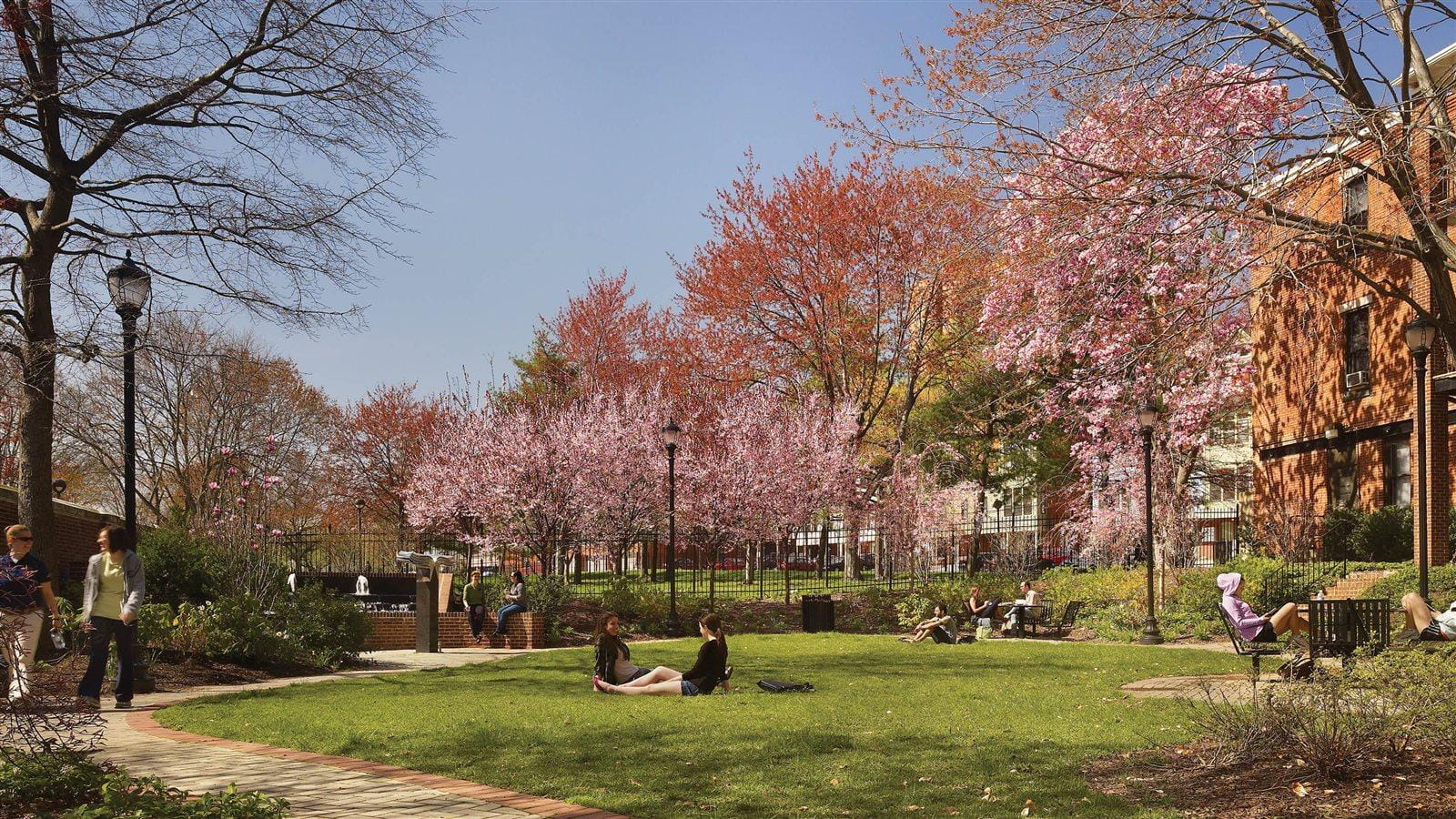 Rush Garden