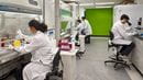 Faculty in white lab coats working in a lab with microscopes.