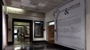 The hallway entrance to 'Curiouser and Curiouser'