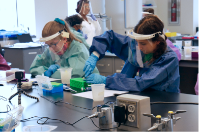 Biomed Summer Academy