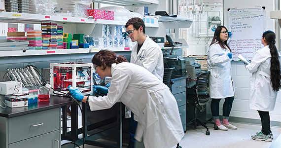 Biomed Graduate Students in Lab