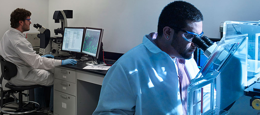 live-imaging microscope