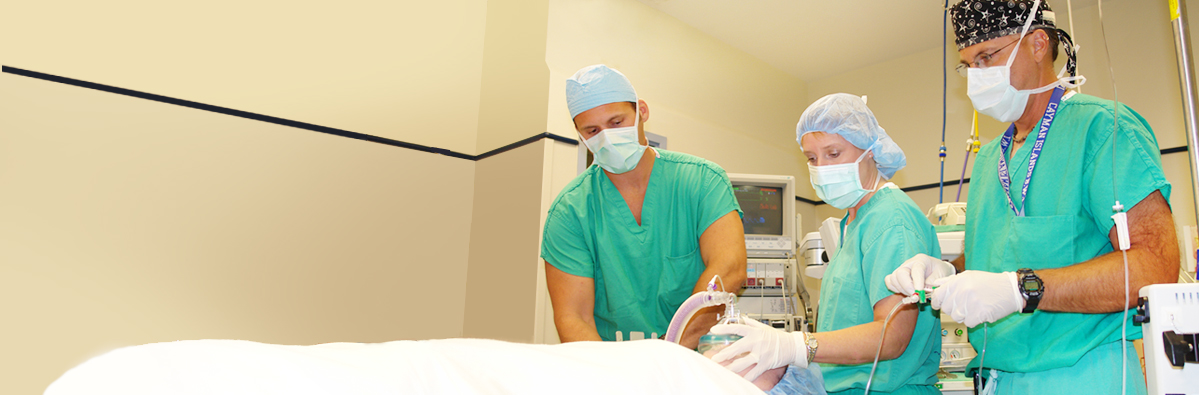 Graduate Nursing Department 