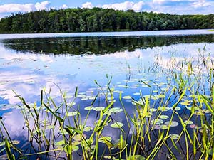 Taking water samples at the Lake Lacawac Sanctuary