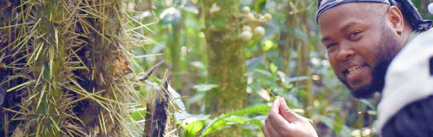 Tropical Field Study in Ecuador with the Drexel Department of Biodiversity, Earth and Environmental Sciences