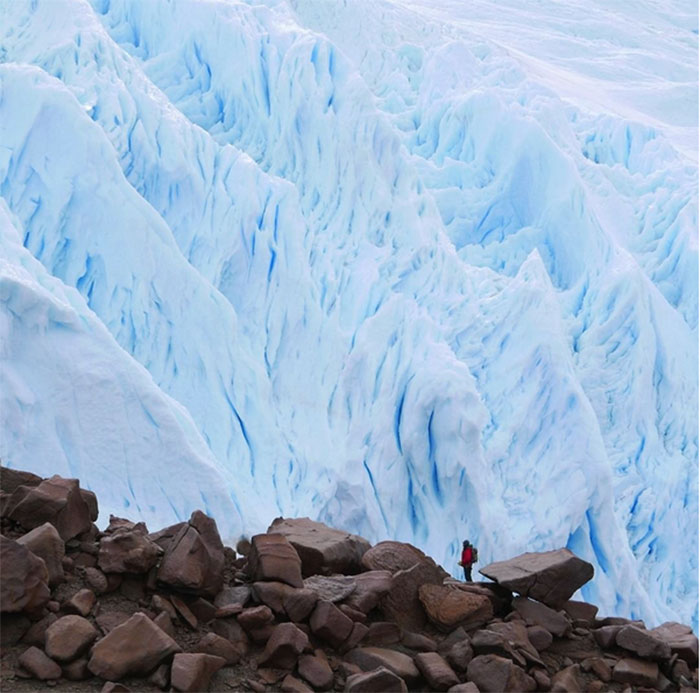Drexel University Faculty Ted Daescler in Antarctica
