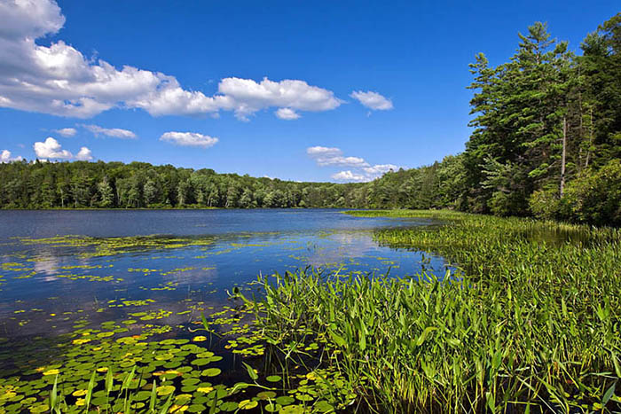 Lake at Lacawac Sanctuary