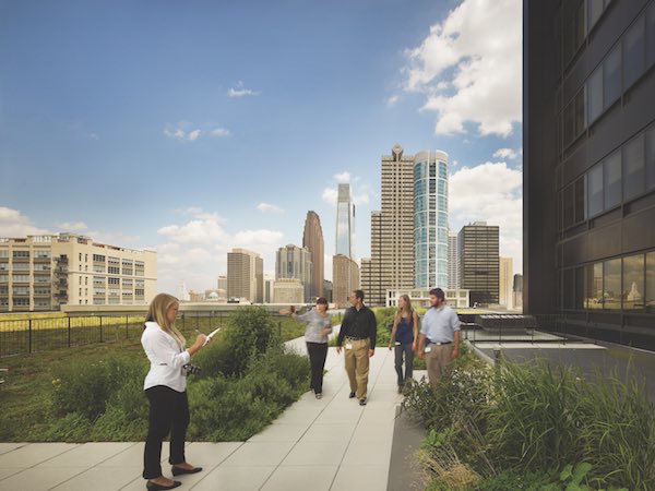 Drexel Students on Co-op on Peco’s green roof in Center City Philadelphia