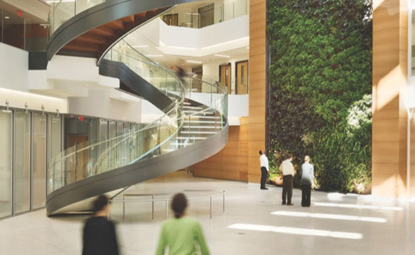 Drexel's green wall.