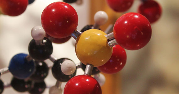 DNA molecules. Photograph by Charles Clegg.