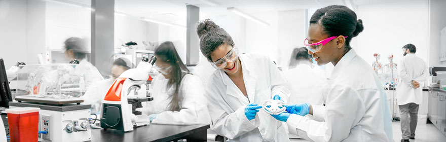The Drexel Biology Resource Center
