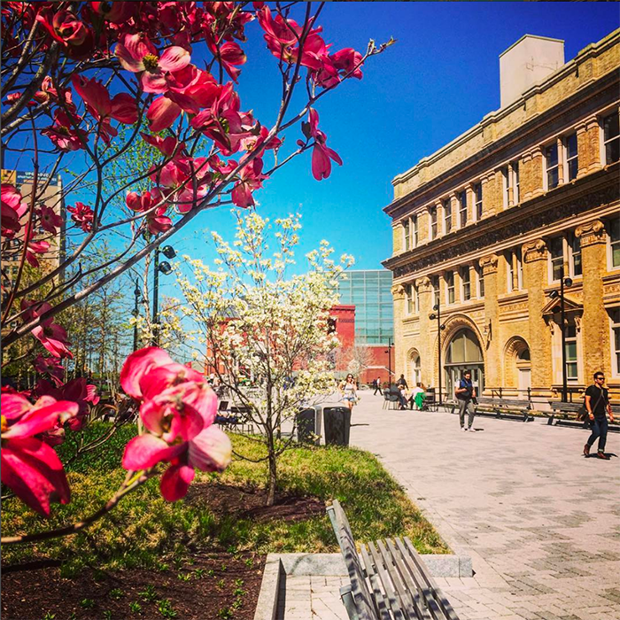 Spring on Drexel University's Campus