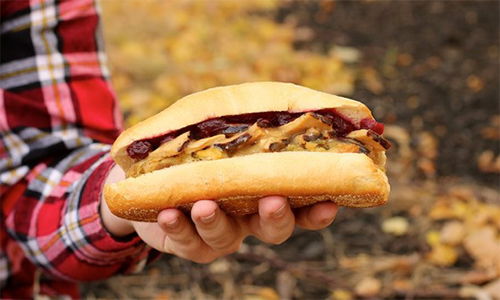 Wawa Turkey Gobbler