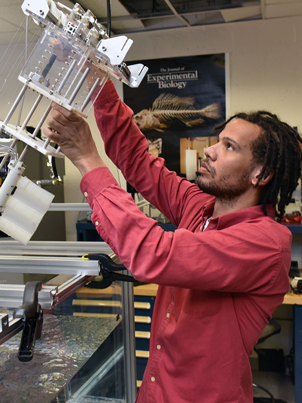 Student working in lab