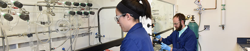 Students working in lab