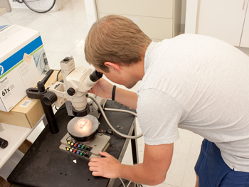 Drexel VLSI Laboratory