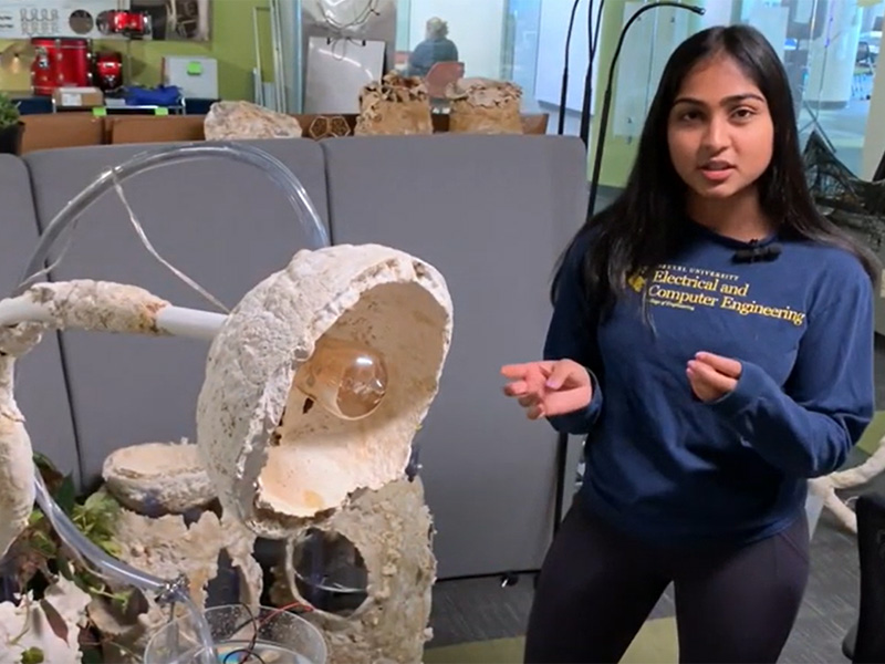 Senior Design: Where Music Meets Engineering image
