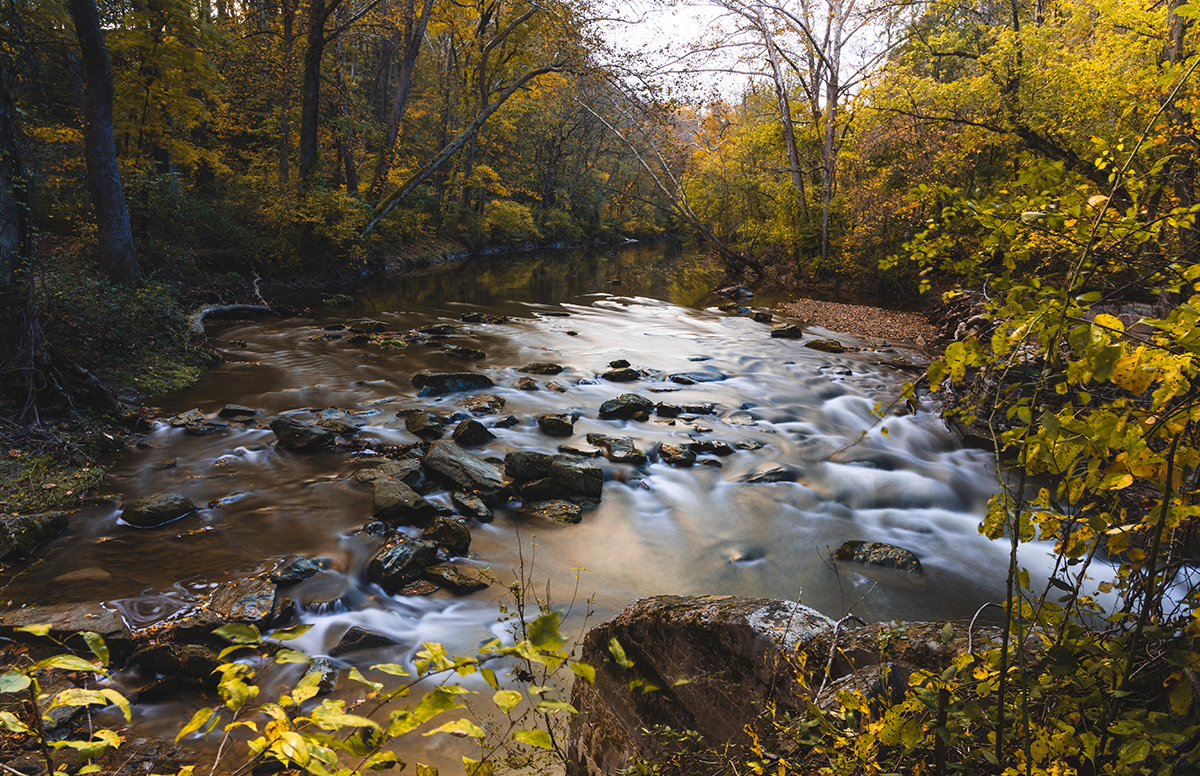 Drexel and White Clay Watershed Association Partner to Model Flood Risk and Build Climate Resilience image