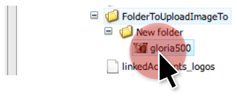 click on file in media library