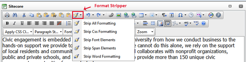 Format Stripper