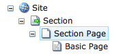 section page