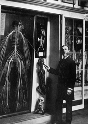 Professor Rufus Weaver, MD, and Harriet, undated (The Legacy Center Archives and Special Collections)