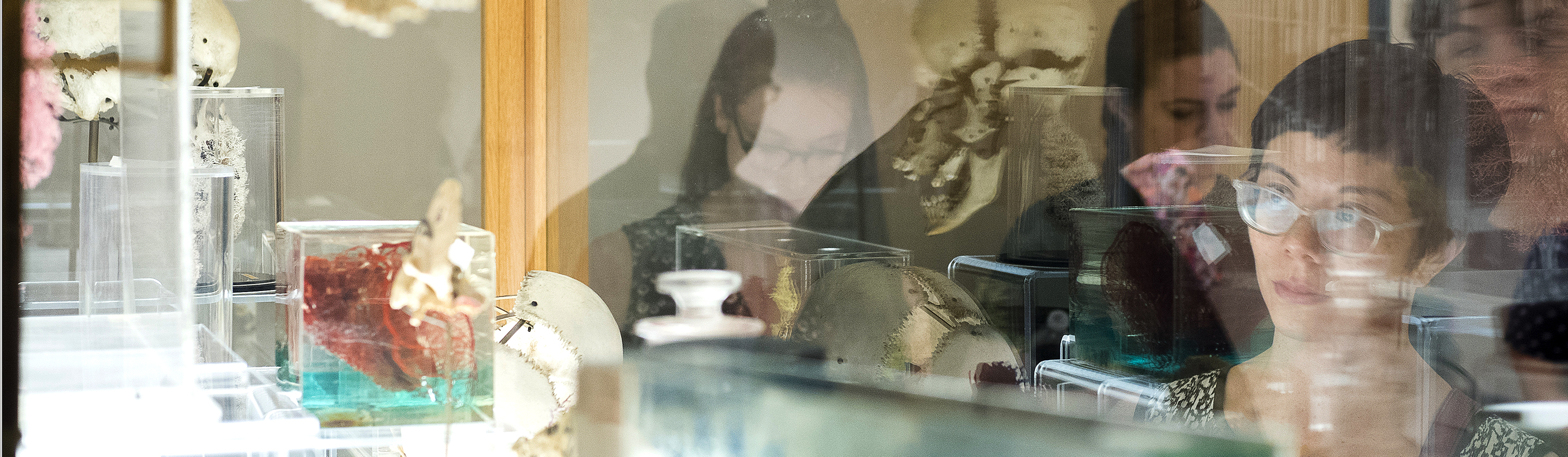 Legacy Center visitors view anatomical specimens (The Legacy Center, Archives and Special Collections).
