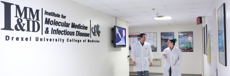 Students walking down the hall at the Institute for Molecular Medicine and Infectious Disease at Drexel University College of Medicine.
