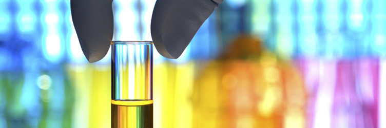 Hand and isolated test tube in a research laboratory.