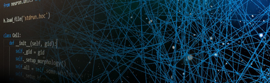 Research image from the Ausborn Lab