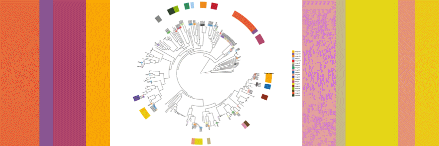 A collection of images related to the Molecular & Cell Biology & Genetics program at Drexel University College of Medicine.
