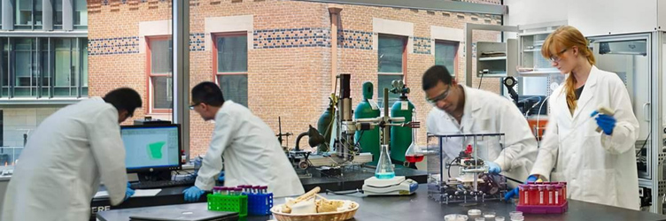 Medical and graduate students working together in a lab.