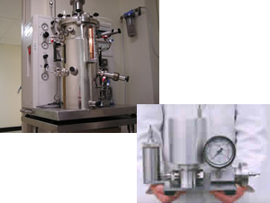 Fermentation
