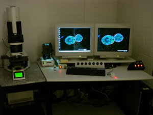 Fluorescence Microscopy