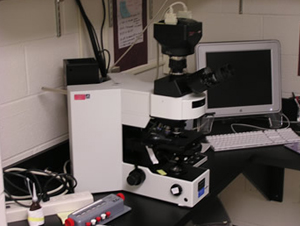 Inverted Epifluorescence Microscope