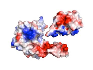 Structural Biology Center 3