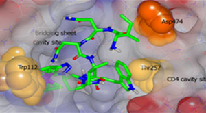 The Chaiken Research Group investigates the fundamental nature of protein interactions in solution and in cells, and their roles in disease pathogenesis.