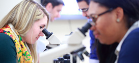 Graduate students at Drexel University College of Medicine