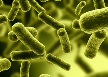 Clostridium difficile (C. difficile) bacterial infection
